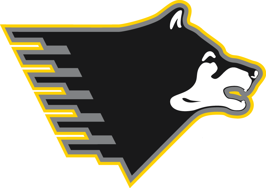 Michigan Tech Huskies 2005-Pres Partial Logo t shirts iron on transfers